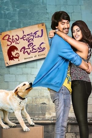 Kittu Unnadu Jagratha 2017 Hindi Dual Audio [1.1GB]