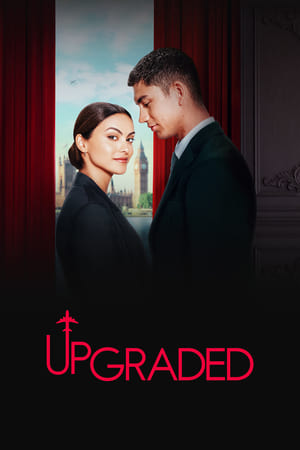 Upgraded 2024 Hindi Dual Audio – 480p